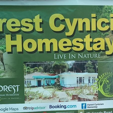Forest Cyniciam Homestay オヒヤ エクステリア 写真