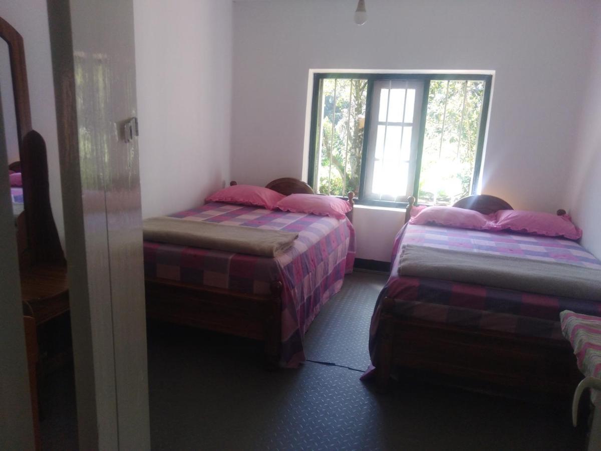 Forest Cyniciam Homestay オヒヤ エクステリア 写真