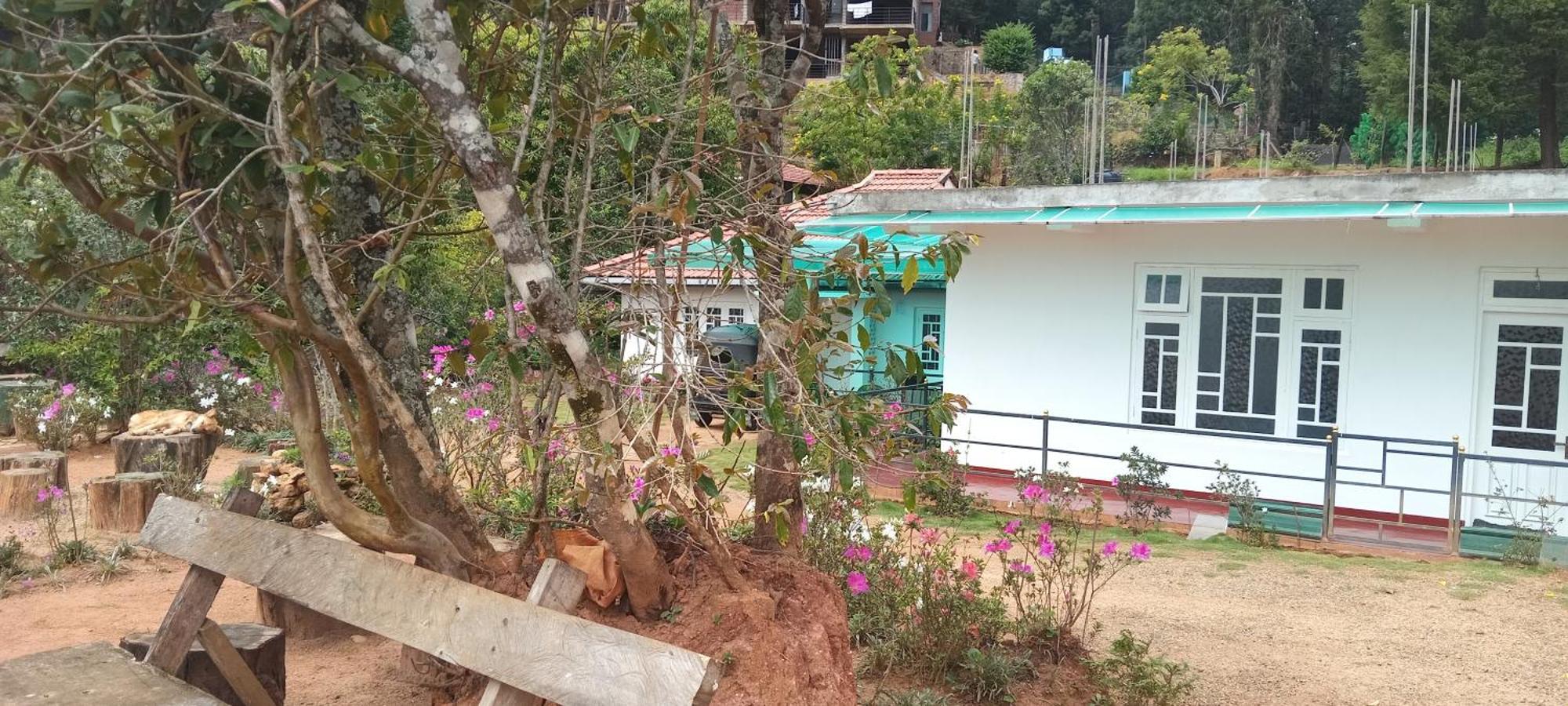 Forest Cyniciam Homestay オヒヤ エクステリア 写真
