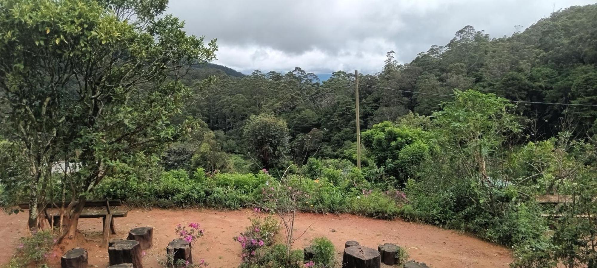Forest Cyniciam Homestay オヒヤ 部屋 写真