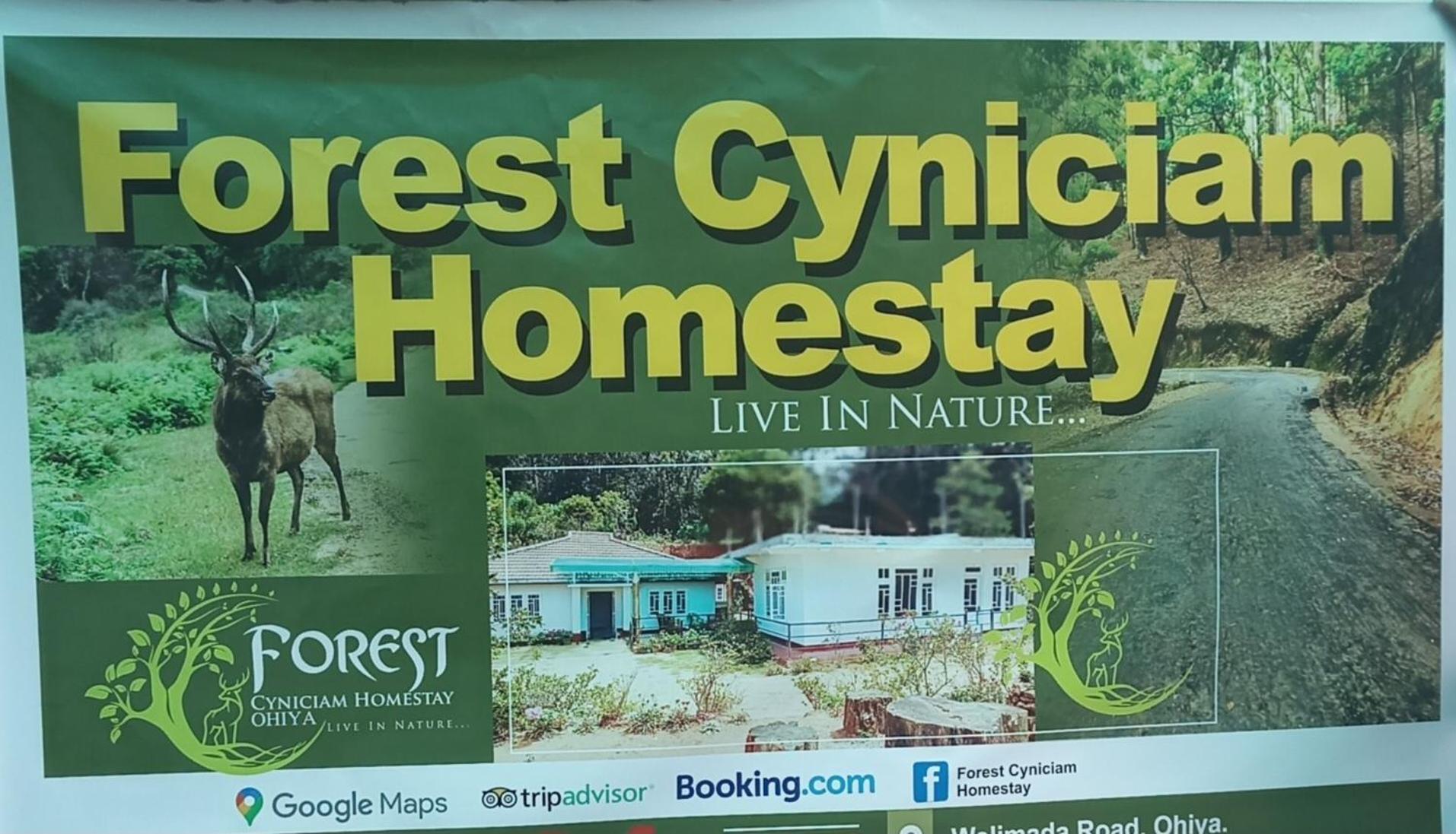 Forest Cyniciam Homestay オヒヤ エクステリア 写真
