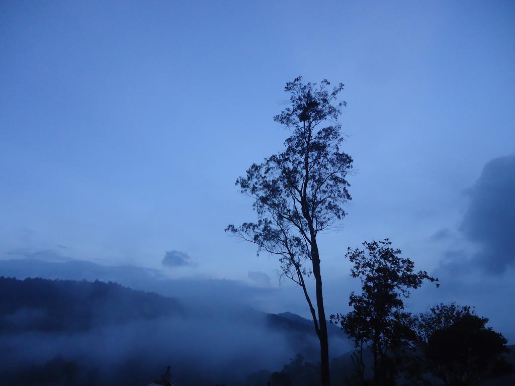 Forest Cyniciam Homestay オヒヤ エクステリア 写真