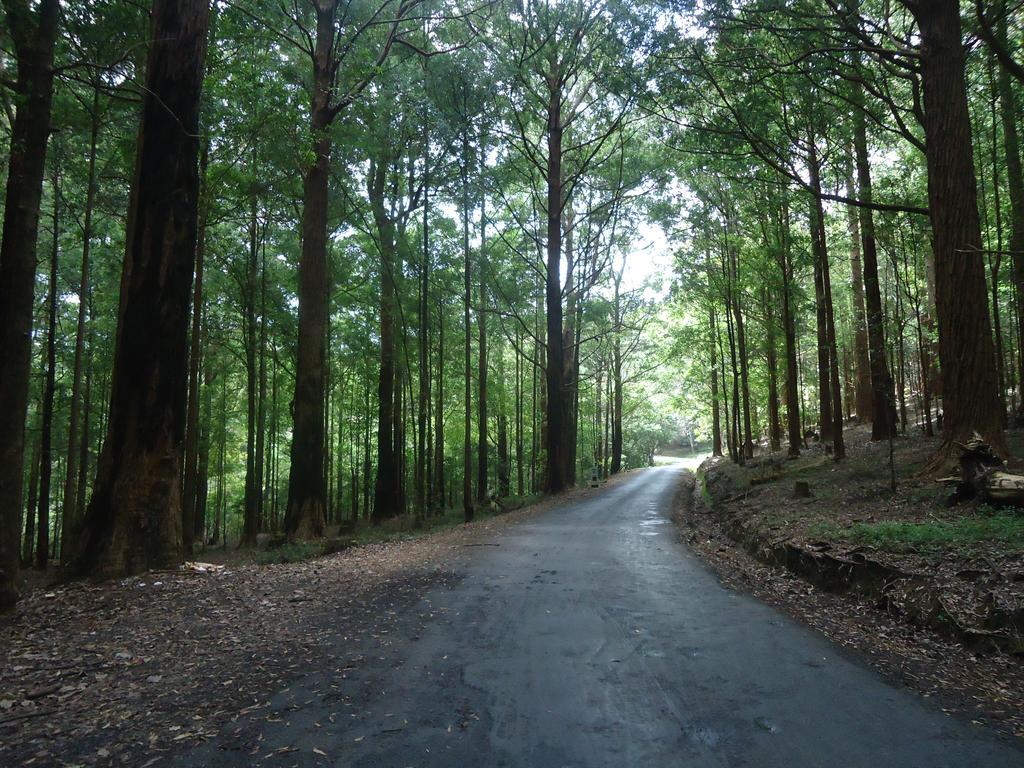 Forest Cyniciam Homestay オヒヤ エクステリア 写真