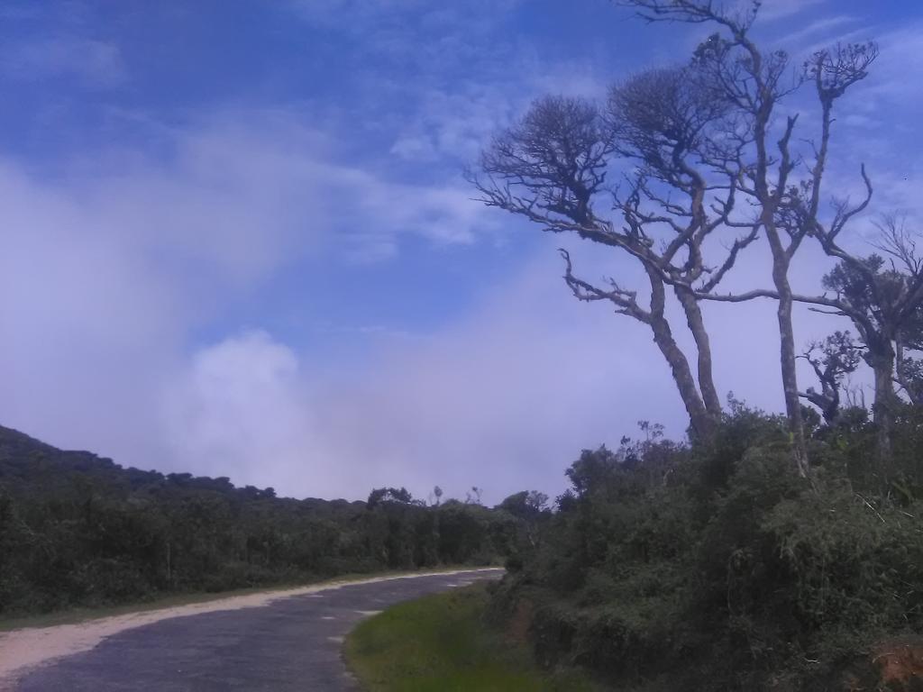 Forest Cyniciam Homestay オヒヤ エクステリア 写真