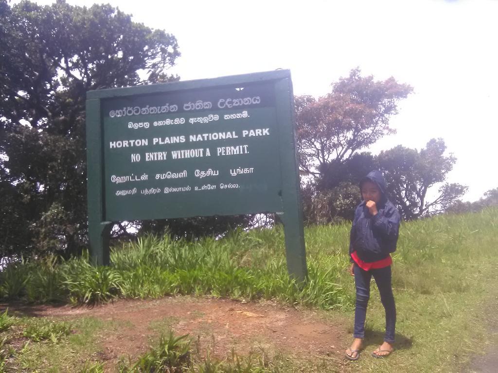 Forest Cyniciam Homestay オヒヤ エクステリア 写真