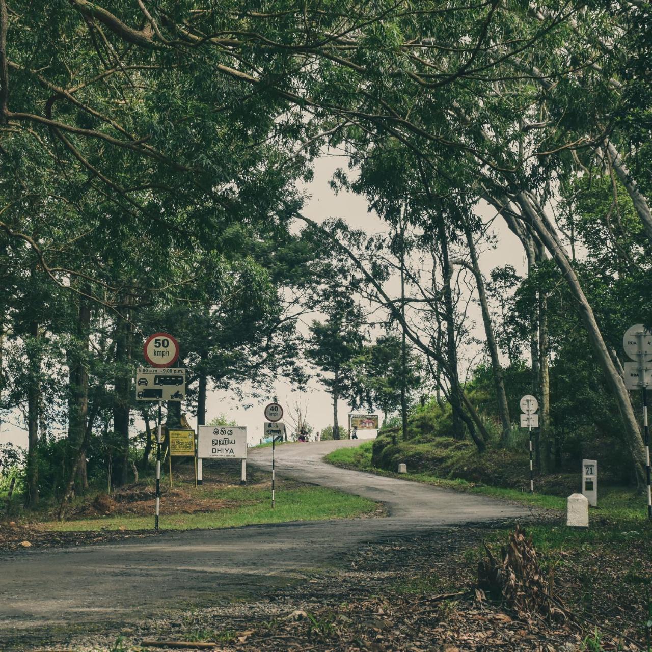 Forest Cyniciam Homestay オヒヤ エクステリア 写真