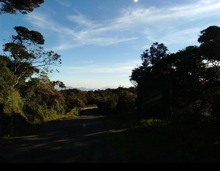 Forest Cyniciam Homestay オヒヤ エクステリア 写真