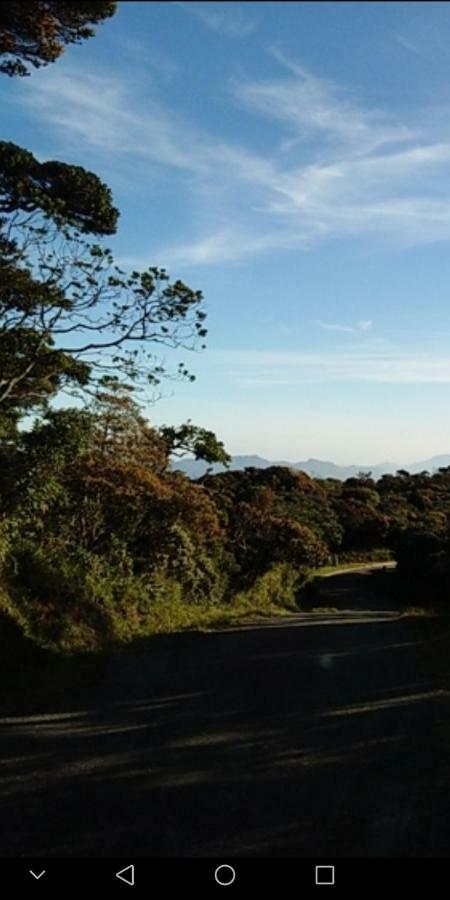 Forest Cyniciam Homestay オヒヤ エクステリア 写真