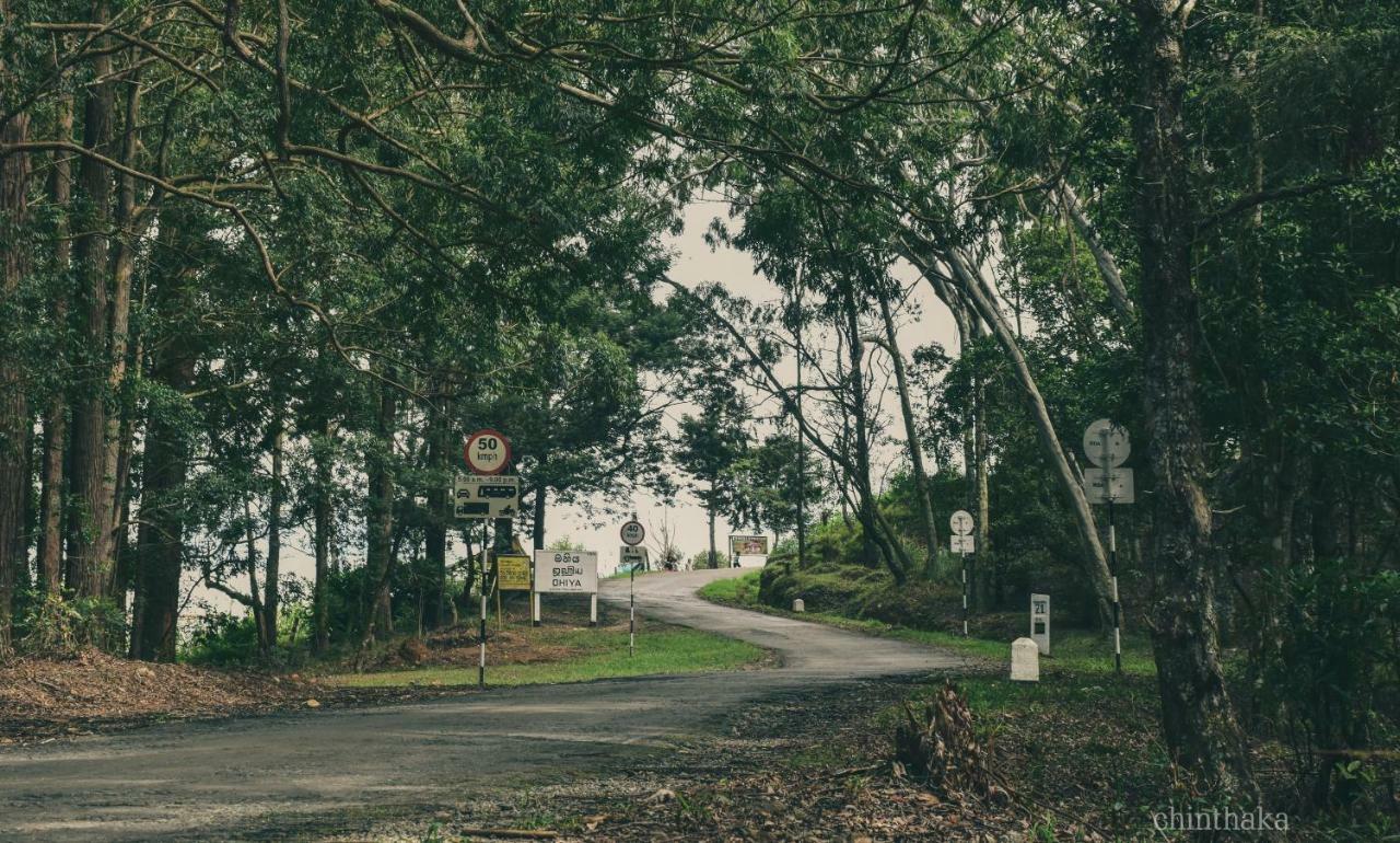 Forest Cyniciam Homestay オヒヤ エクステリア 写真